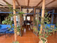 Casa Blue Star