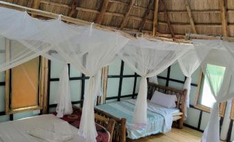 Songbird Safari Lodge & Campsite