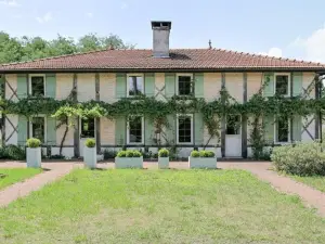 La résiniere de Pirique