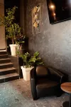 Olivia Rooms