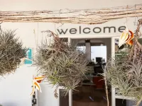 BJ Apartamentos Europa Hotels in Sa Coma