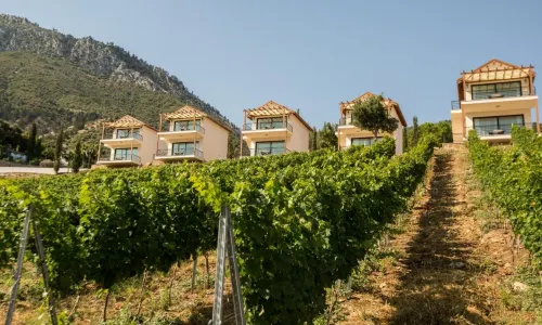 Gillham Vineyard Hotel