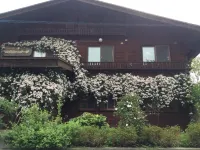 Yamagata Zao Pension Aplon Stage Hotel a Kaminoyama