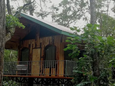 Monteverde Romantic Cabañas 5Minutes Mtv Park