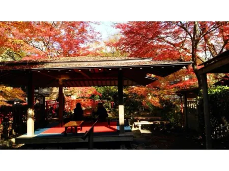 Onsen Yado Mizuguchi Отели рядом с достопримечательностью «Shuzenji Niji-no-Sato»