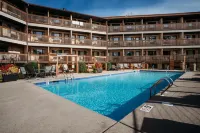 Natura Aloha Beach Resort - piscine