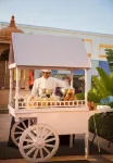 Radisson Blu Udaipur Palace Resort & Spa - 朝食
