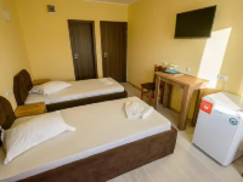 Casa Domneasca Riana Hotels in Pitesti