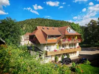 Hotel DasZimmermann Hotels in Gersbach