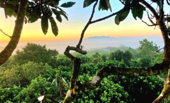 Homestay Vuon Trai Cay Nhiet Doi VO UU Garden