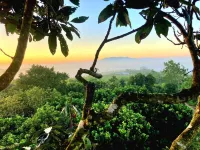 Homestay Vuon Trai Cay Nhiet Doi VO UU Garden Hotel a Bảo Lộc