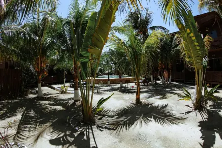 Coconut by ÓOL Hotels