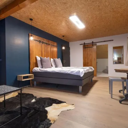 La Forge de Diogne - Luxury and Cosy B&B Alpine Lodge