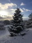 Long Mountain Centre Log Cabins Hotels in Shrewsbury