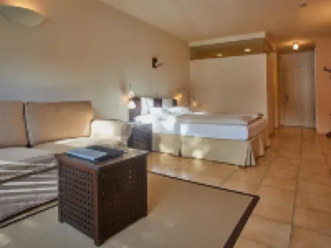 Hotel Edelweiss Hotels in Gerlos