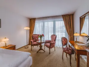 Hotel Paryski Art & Business Zakopane - Basen Jacuzzi Sauna Małpi Gaj