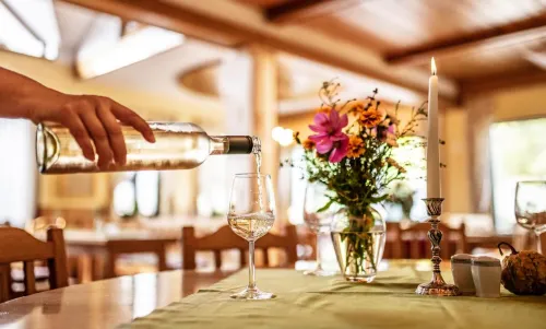 Der Winzerhof - Homestays