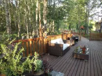 Estación Benedicto Hotels in Curacautin