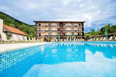 Pensiunea Danubia Hotels in 