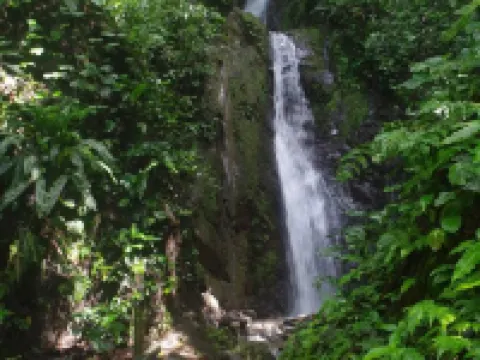 キャビナスゴルフィト ゴルフィトのホテル