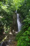 Cabinas Golfito Hotels in Golfito