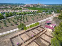 Dynamic Els Ports Resort - Mountain view
