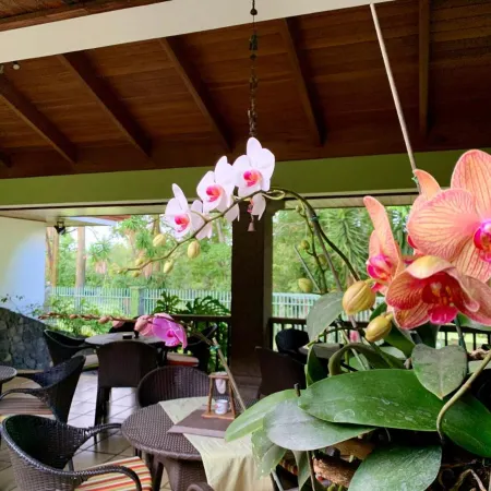 Terrazas de Golf Boutique Hotel