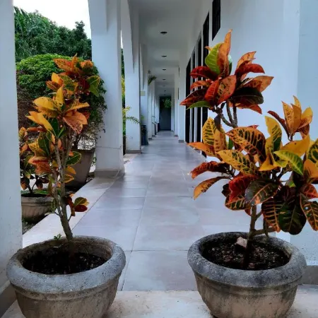 Departamentos X`Kanlol