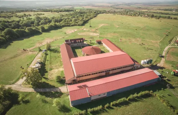 託特瓦馬場酒店