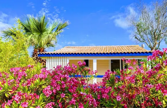 奧姆德坎尼思露營酒店