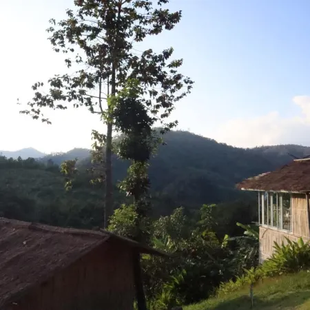 Yazama Homestay