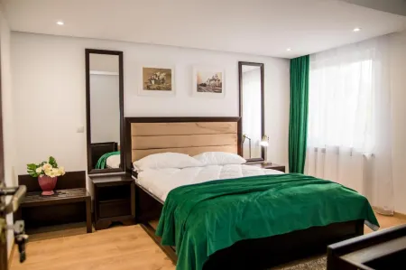 Hotel THR Center Отели в г. Baiculesti