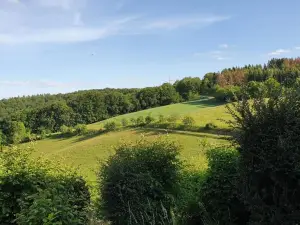 Moderne Ferienwohnung Mit Privatem Eingang - Rosa