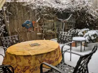 Ann Arbor Bed and Breakfast Hotels in Ann Arbor