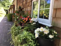 Petherton Cottage Studios Hotels in Ferndown