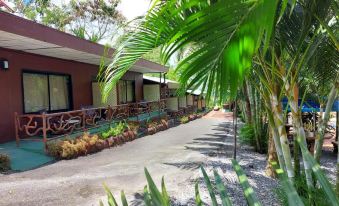 Hotel Palmera Real Hot Springs