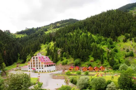 Hotel Green Valley Savsat Отели в г. Yukarikoyunlu Koyu