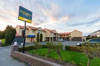 Daffodil Motel Hotels in 