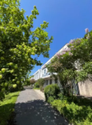 聖弗朗索瓦中心 住宿飯店