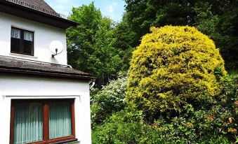 Green Corner Nürburg