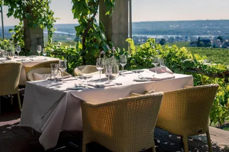 Burg & Gästehaus by Schwarzenstein Отели рядом с достопримечательностью «Johannisberg Castle»