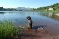 Albergo Centrale Hotels in Siror