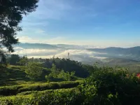 The Gundumalai Bungalow, Munnar Hotels in Suryanelli