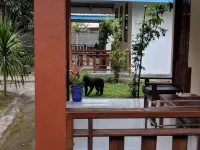 Tangkoko Macaca Resort Hotels in Maesa