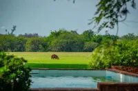 Rincón del Socorro - piscina
