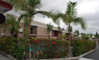 Budget Inn Anaheim near Disneyland Drive