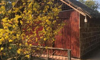 Chau Doc Homestay