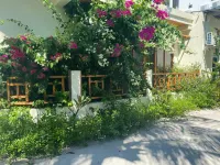 Bougainvillea Inn - Maldives Hotel di Vashugiri
