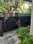 Mealanie's House