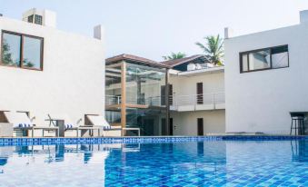 The Ivy Anjuna